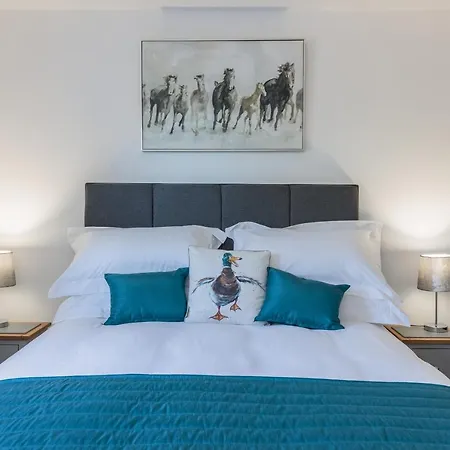 The Paddock 吉斯伯勒