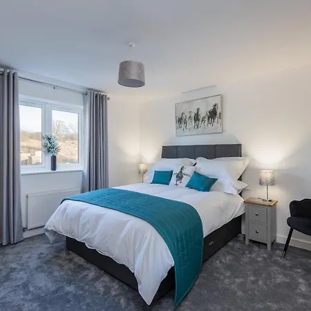 The Paddock غيوسبرو