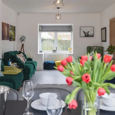 بيت للعطل The Paddock *