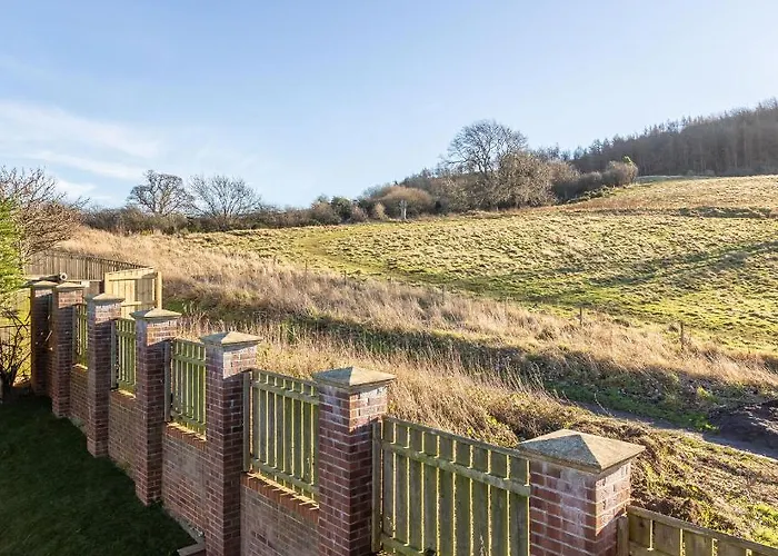 The Paddock Guisborough